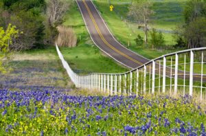 2 lane road in Texas lined with a white fence next to a field of bluebonnets--taking a Texas road trip in spring means seeking out views like this