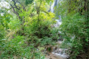 Gorman Falls Texas in Colorado Bend State Park surrounded by green trees