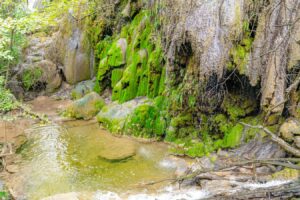 close up of small waterfall in colorado state park texas