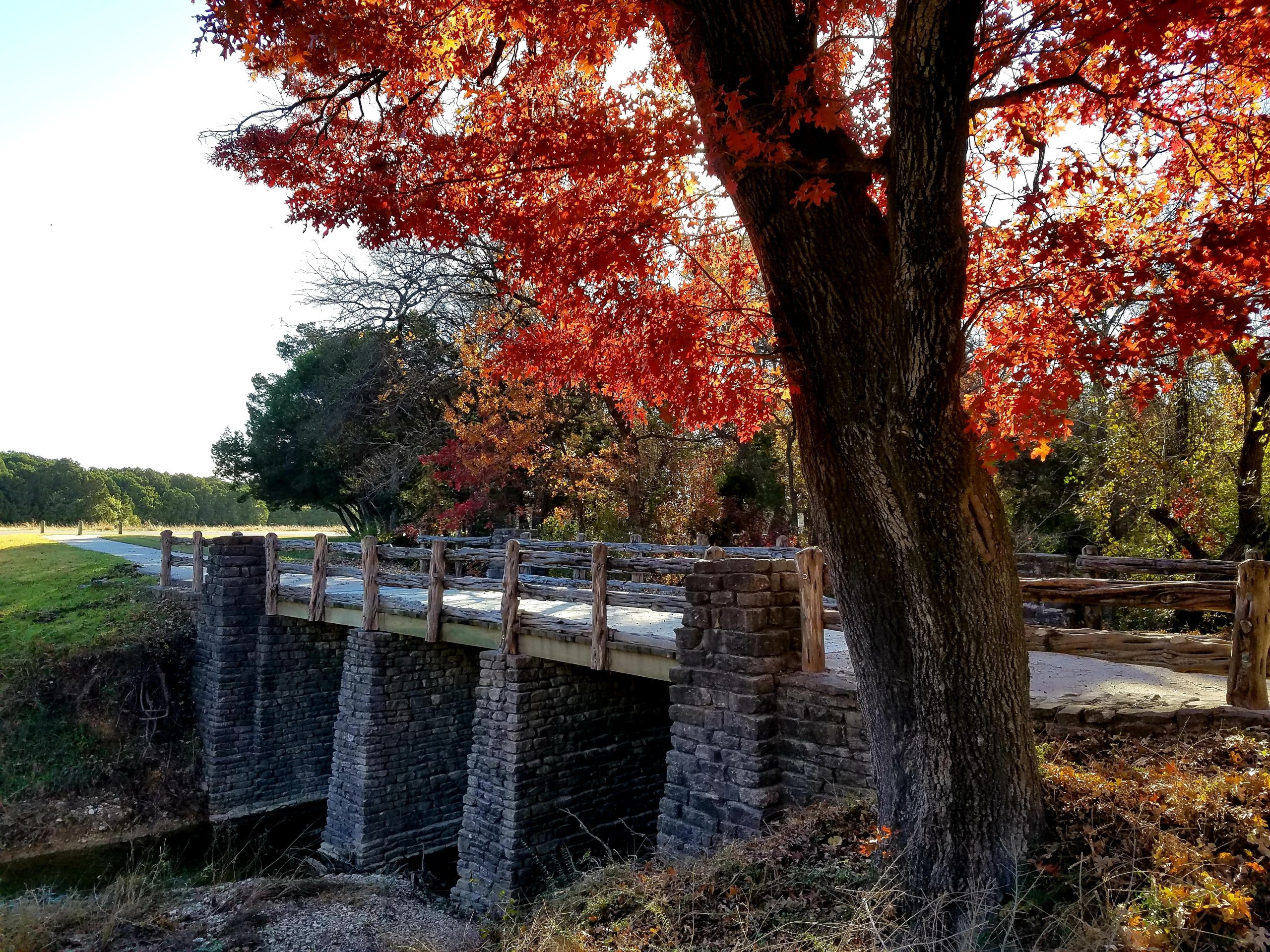 Bridge in Cleburne State Park with a tree boasting fall foliage in the foreground. This state park is home to some of the best hikes near Dallas TX