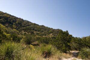 views of the texas hill country when hiking near san antonio texas under a bright blue sky