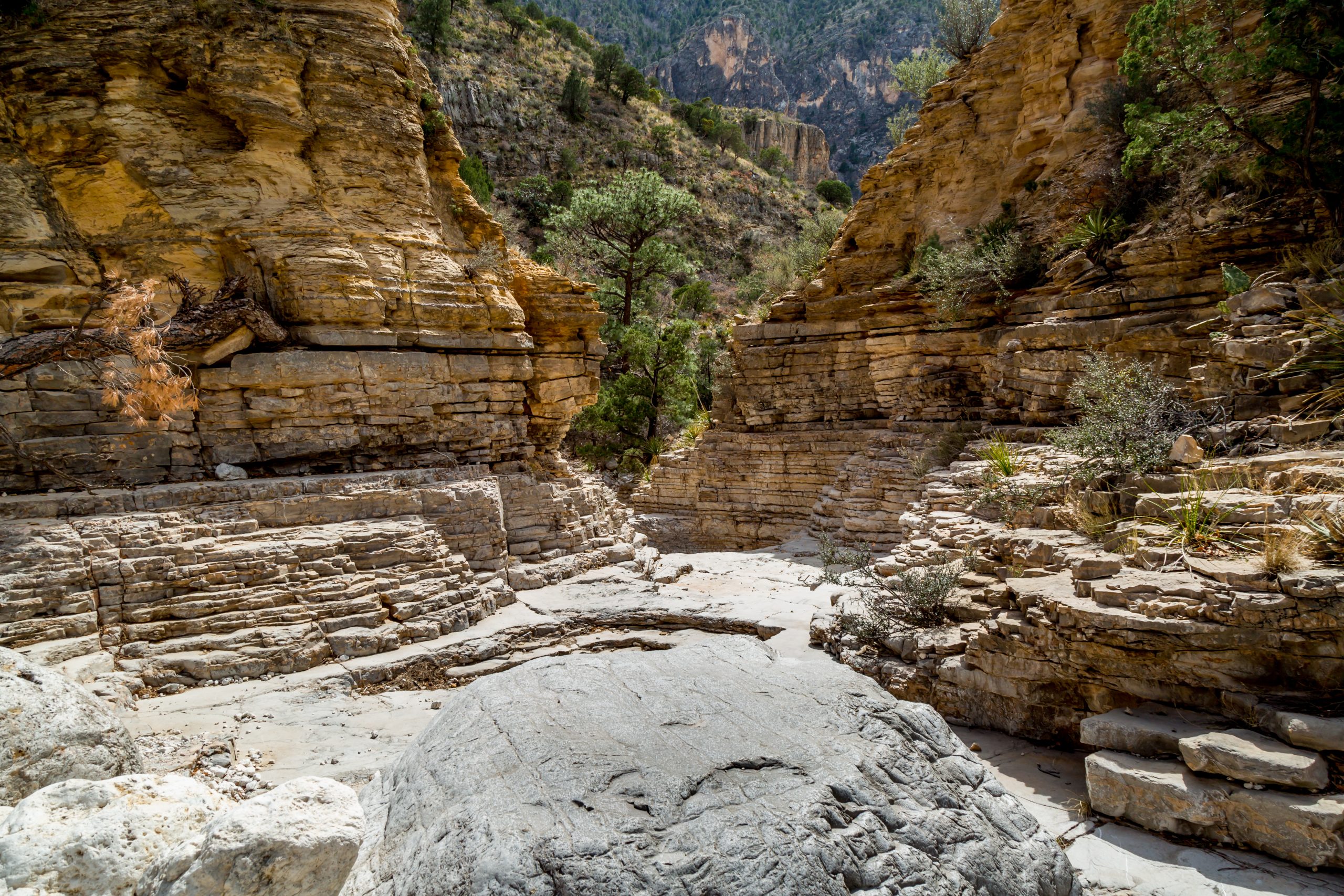 close up of devils hall at guadalupe mountains, one of the best national parks in texas