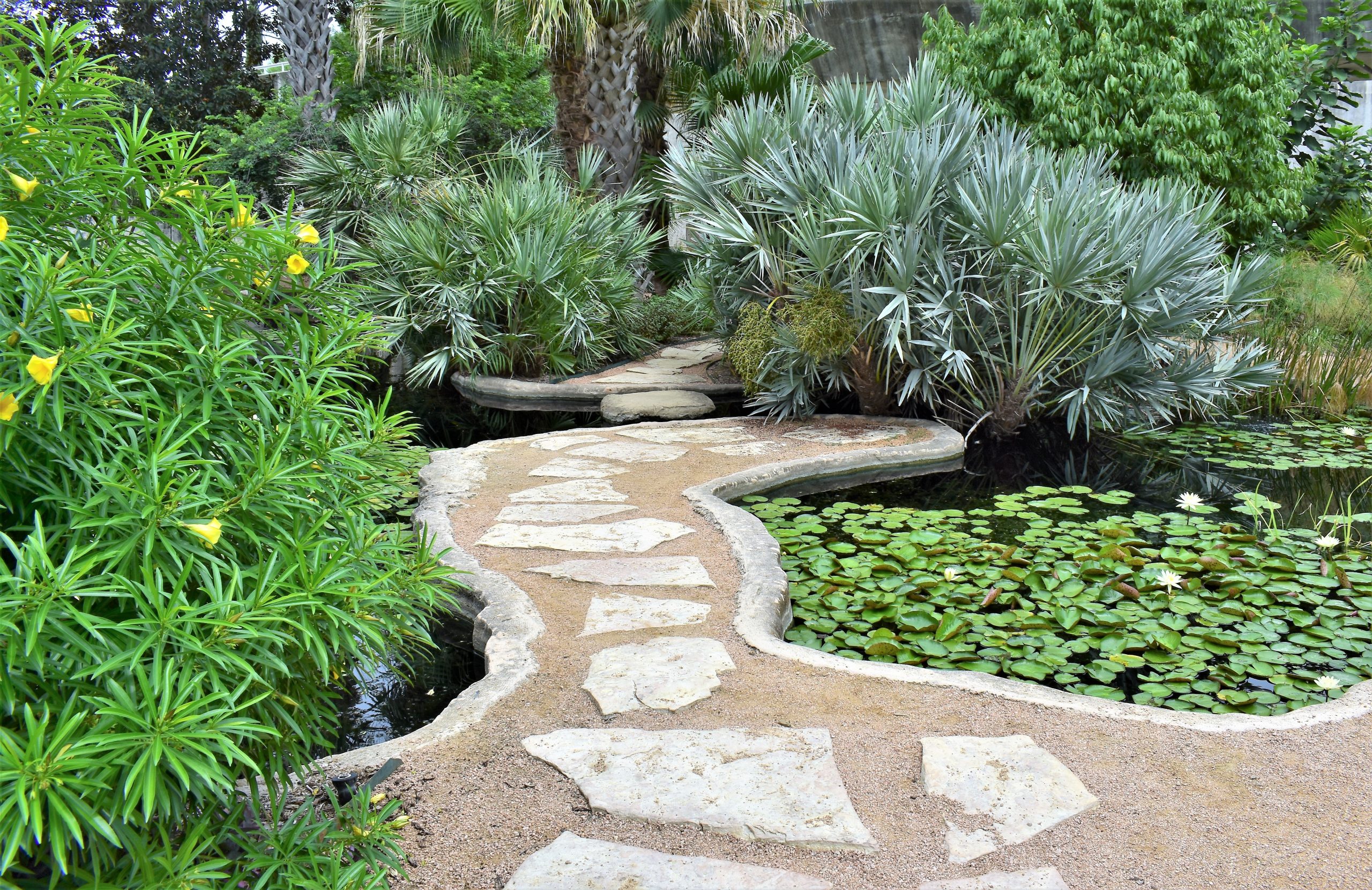 sunken gardens in one of the best parks in san antonio texas
