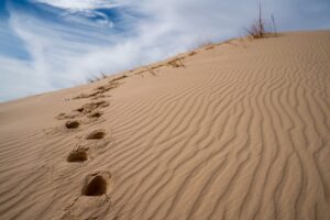 footsteps leading up a dune in monahan sandhills, one of the best state parks in west texas