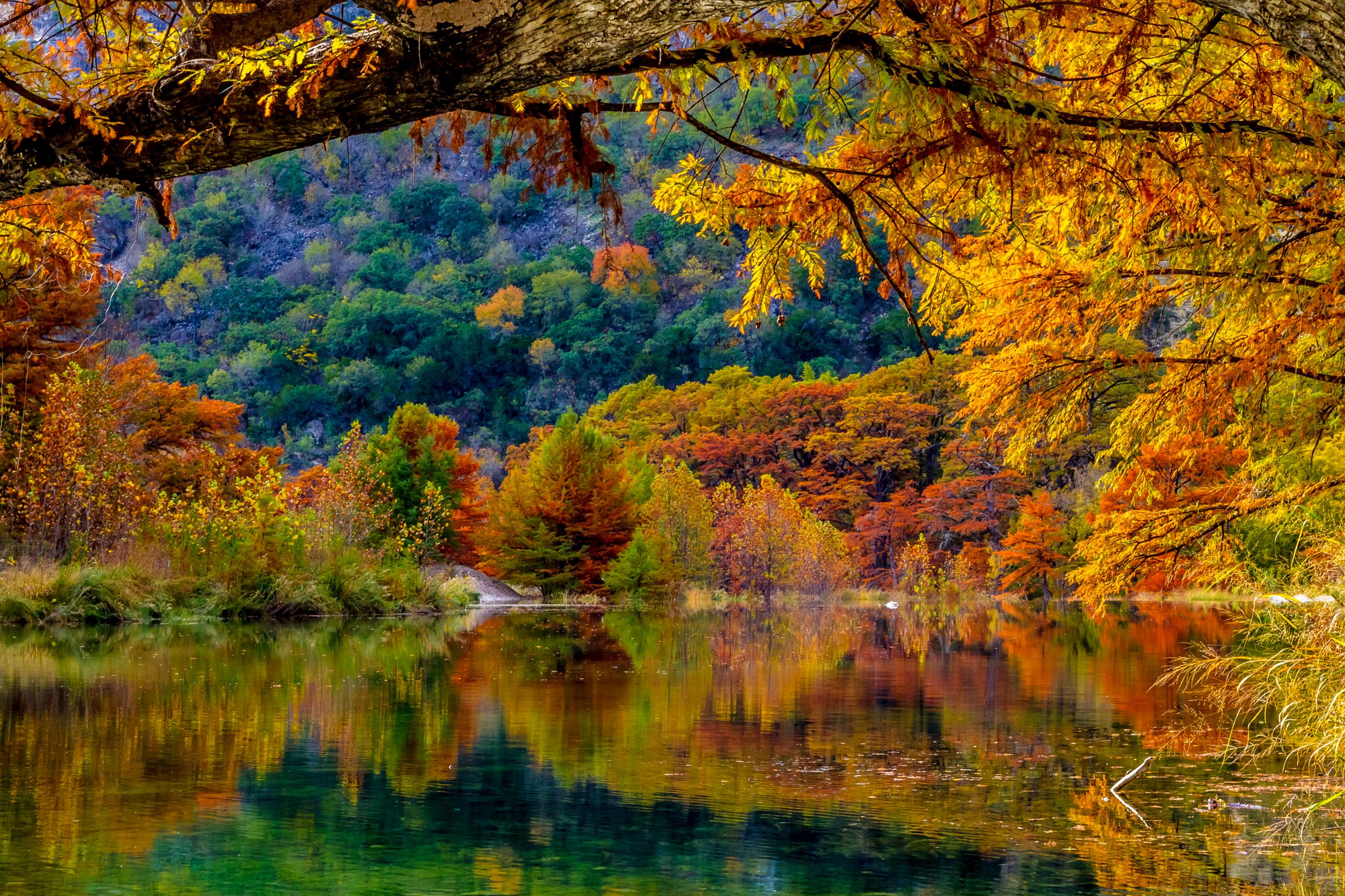 best fall colors in texas at frio river garner state park. fall in texas can include lots of foliage if you know where to look