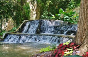 small waterfalls in san antonio texas riverwalk
