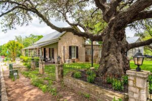 small limestone building under a large live oak in fredericksburg, one of the best texas hill country towns to visit