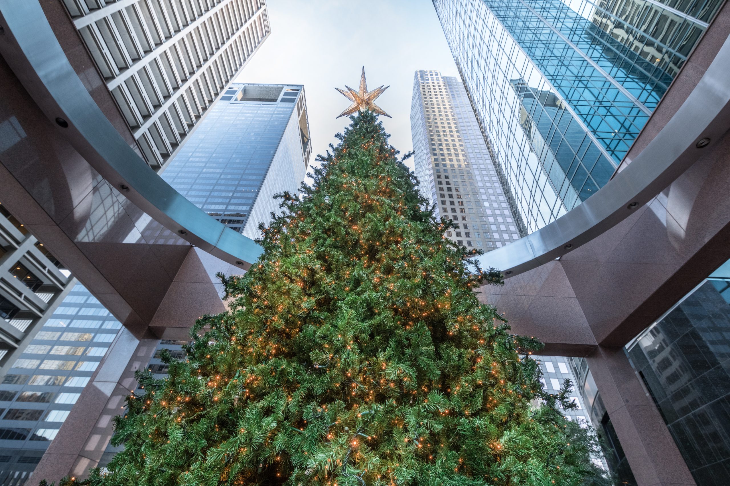 giant christmas tree with houston skyline in the background, one of the best things to see during christmas in houston texas